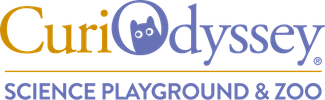 32130211-0-CurioLogo-Color-500 copy